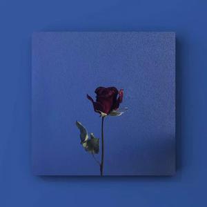 黄片真人真事儿
