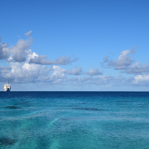 黄片真人真事儿
